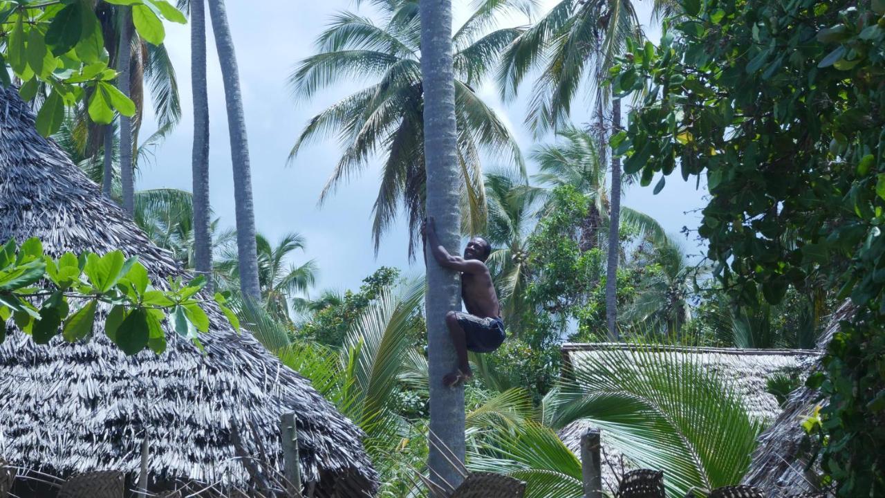 Bed and Breakfast Afro Whale Shark Safari Kilindoni Exterior foto